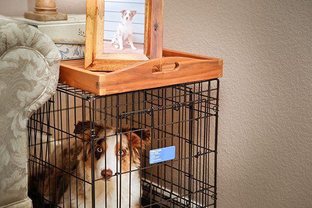 Votre chiot's crate doesn't have to be an eyesore when it doubles as a handy side table.