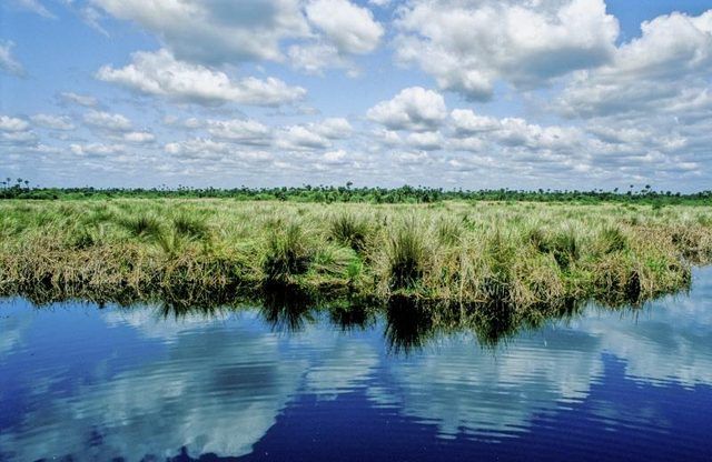 Les cours d'eau des Everglades sont parfaits pour trouver la solitude.
