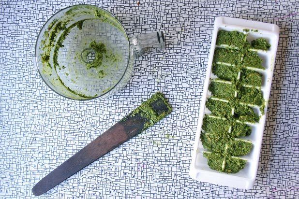 Tu'll thank yourself for preserving these tasty, vitamin-packed cubes of kale pesto.