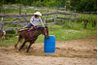 Sports d'équitation western tels que Barrel Racing compétences Hone d'élevage.