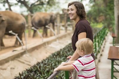 mère et l'enfant en regardant les éléphants dans le zoo