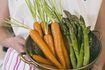 Greens de carottes ont des propriétés médicinales.