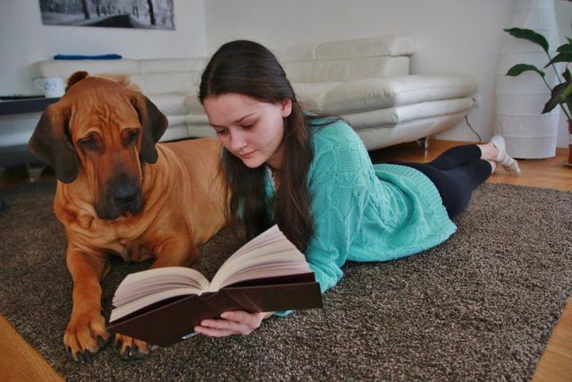 Femme lisant un livre avec un grand dogue à côté d'elle.