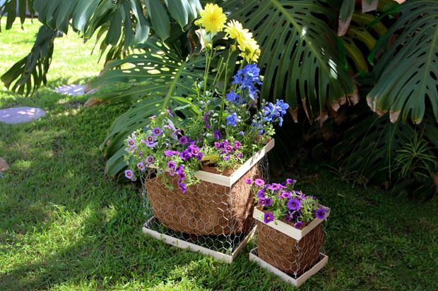 -Rapide à faire et jardinières faciles à personnaliser