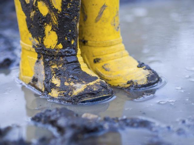 Un enfant's yellow boots in a mud puddle.