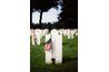 Soldats tombés sont honorés dans les cimetières nationaux dans tout le pays.