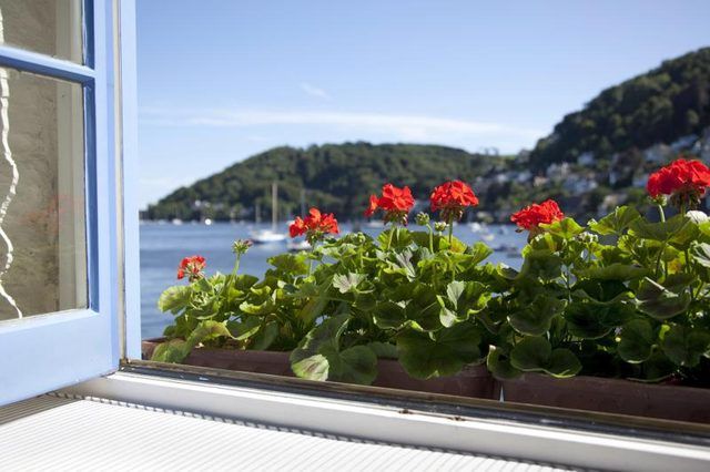 Géraniums rouges poussent dans une boîte de fenêtre ensoleillée.