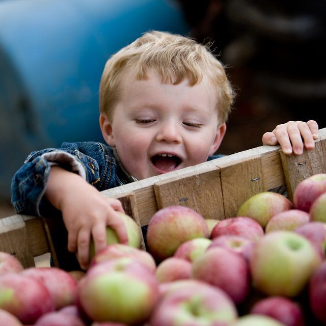 Jeune garçon atteint pour la pomme dans une caisse.
