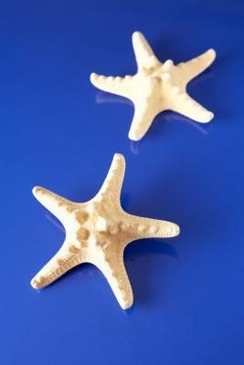 Starfish sont facilement obtenu ou fait de papier de construction.