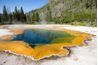 Bactéries extrêmophiles sont parmi les quelques organismes qui peuvent vivre dans les sources d'eau chaude dans le parc national de Yellowstone.