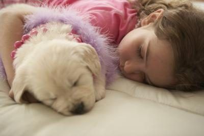 Jeune fille endormie avec un chien