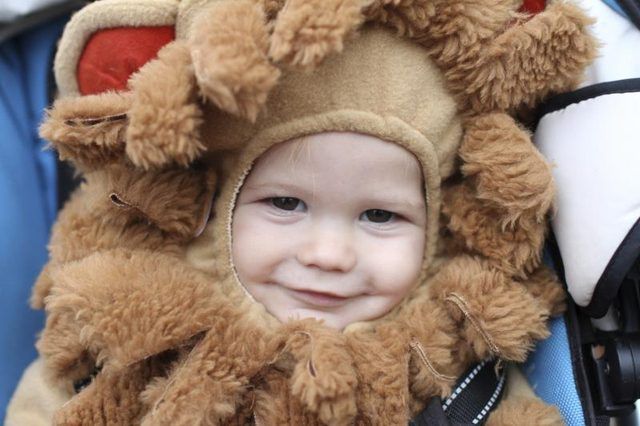 Jeune enfant vêtu d'un costume de lion.