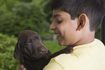 Le labrador retriever est athlétique et intelligent.