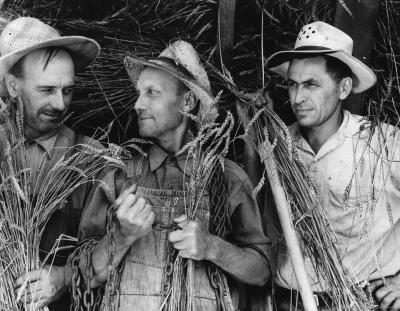 Trois agriculteurs californiens, 1935