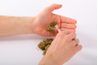 La marijuana a été montré pour traiter la douleur et les nausées dans certaines maladies.