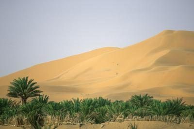 Un certain nombre d'oasis sont sur les routes modernes qui sont une bouée de sauvetage pour les habitants du désert