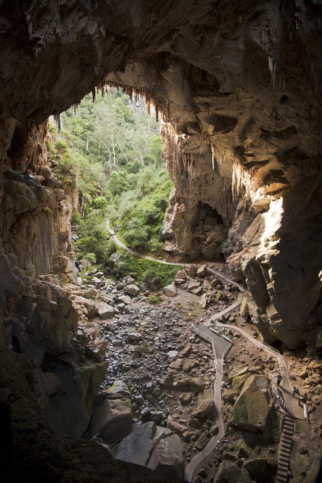 Descendants de corail antique peuvent encore être trouvés todayin la grotte d'ortie en Australie.