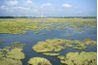 La terre du delta du fleuve Mississippi est en train de disparaître à cause des digues et des digues empêchent les inondations de déposer nouveau sol.
