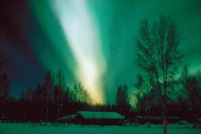 Regarder un spectacle de lumière dans le ciel dans les régions polaires de la toundra.