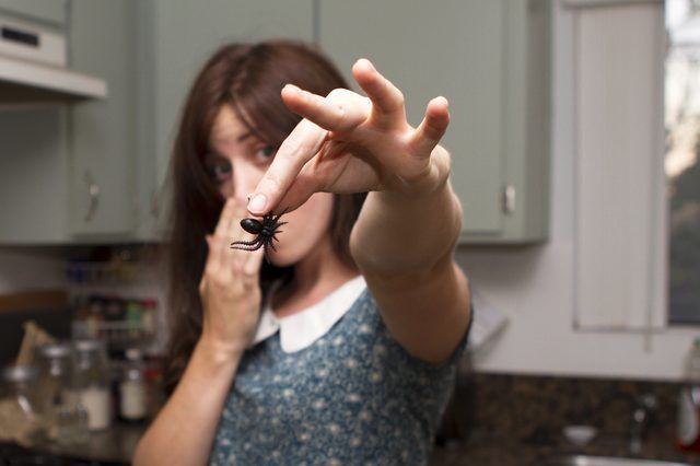 Remèdes pour les araignées de noix de coco Oil & Vinegar