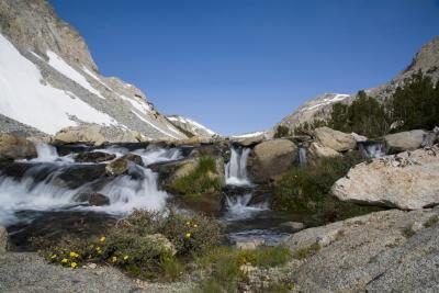 Une petite chute d'eau avec des fleurs dans les montagnes de la Sierra Nevada.