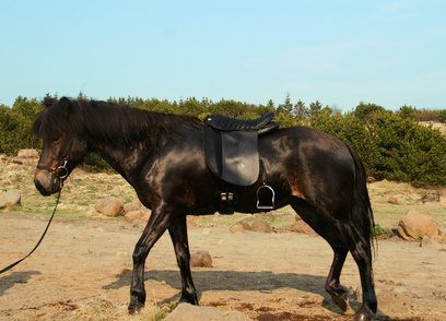 Marcher sur un rocher et écraser la semelle peut provoquer un abcès.