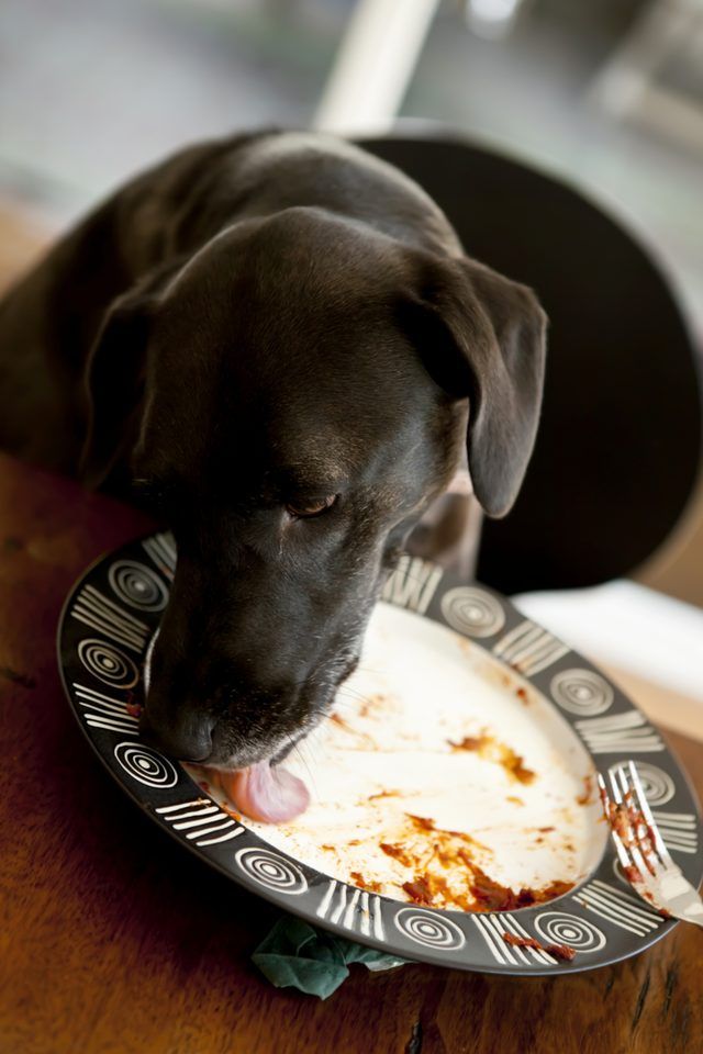 Pasta peut aider à assouvir leurs appétits en toute sécurité.