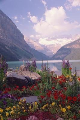 Fleurs Mountain Lake à Banff