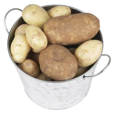 Pommes de terre Russet fonctionnent bien dans les plats festonnée de pommes de terre.