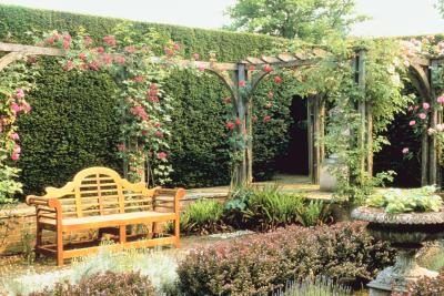 Escalade roses sur un arbre sur un banc d'améliorer le réglage de jardin.