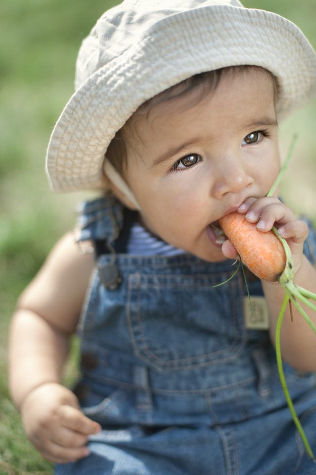 Bébé carottes de manger