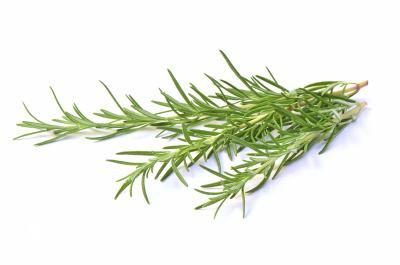 Rosemary est souvent utilisé dans la cuisine française.