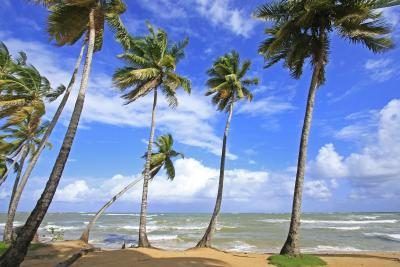 Las Terrenas Beach, République dominicaine