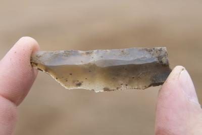 Unearthed lame de silex du néolithique