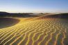 Champs de dunes couvrent une partie substantielle du Sahara, le monde's largest hot desert.