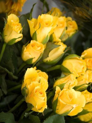 Les roses jaunes sont devenus un symbole populaire de l'anniversaire d'or.