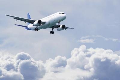 American Airlines a transporté les animaux depuis plus de cinquante ans.