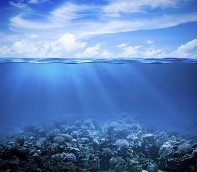 Le biome de l'océan comprend trois zones.