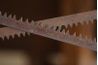 Cintres en dents de scie ont des bords tranchants comme une lame de scie.