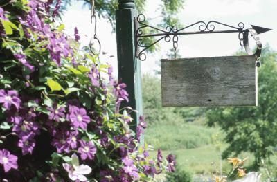 Vignes fleuries prêtent un cadre accueillant, contact intime à entrées.