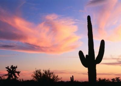Arizona's scenery and sunsets will make you think that it is summer.