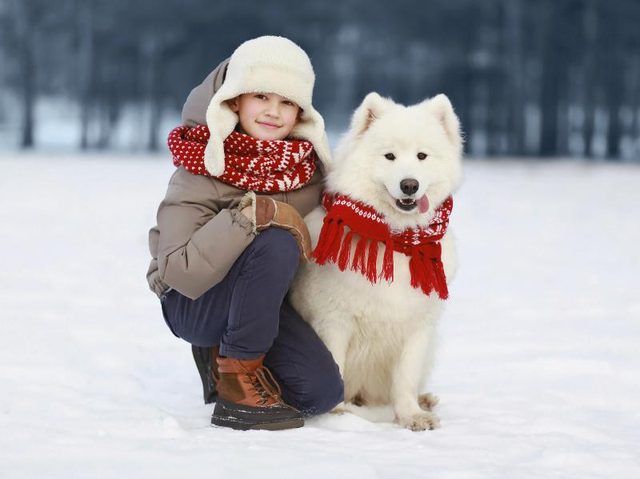 Adolescent avec un chien dans la neige d'hiver