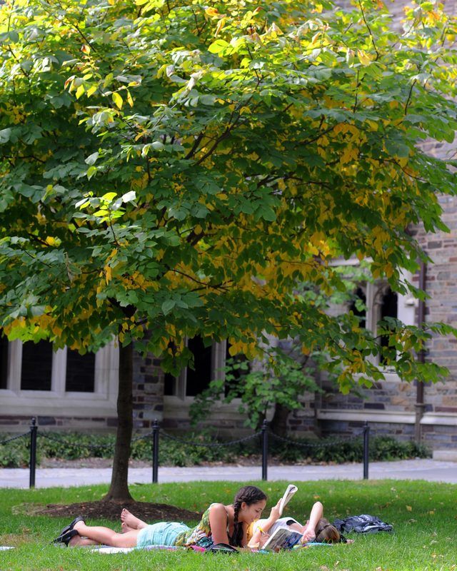 Deux étudiants lisent dans l'herbe à l'Université de Princeton.
