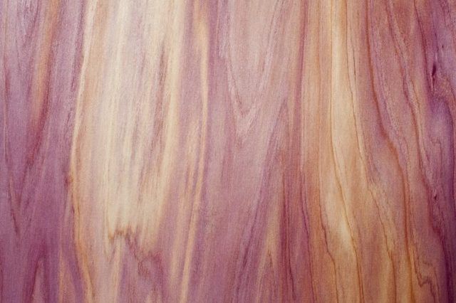 Close-up de la surface de bois de cèdre rouge