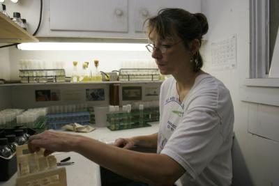 Un spécialiste de la vie marine effectue des essais d'algues dans un laboratoire.