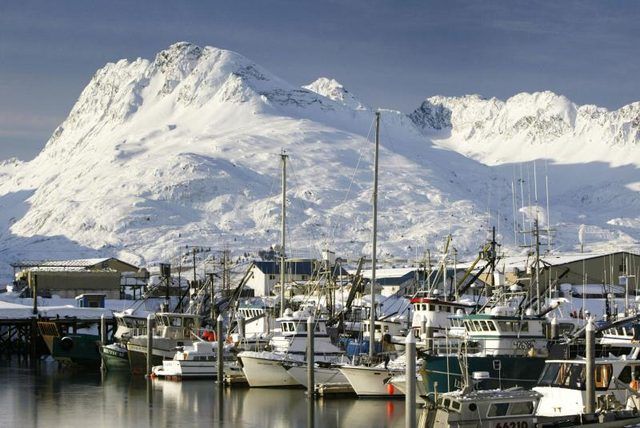 Les bateaux de pêche amarrés à Valdez, en Alaska