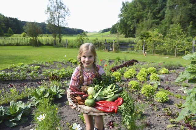 Petite fille avec panier plein de légumes