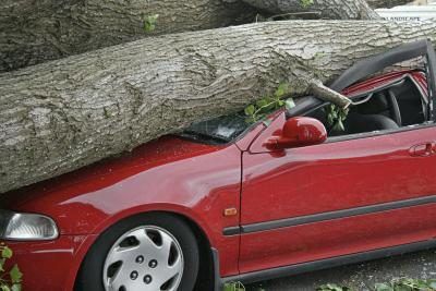 L'assurance automobile peut couvrir les dommages aux véhicules.