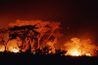 Les conditions de sécheresse augmentent le risque de feux de forêt.