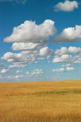 Prairies vallonnées de prairies sont une caractéristique de disparition comme l'utilisation des terres augmente.